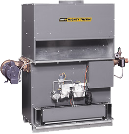 P21137539