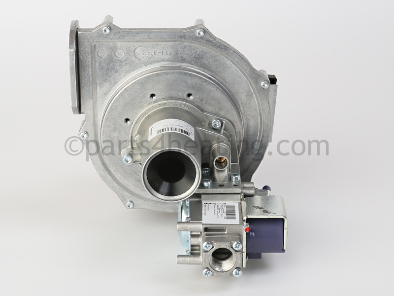 Blower and Gas Valve Assembly, (LP)