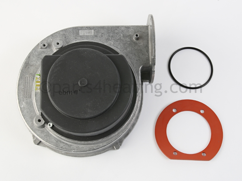Blower with gaskets