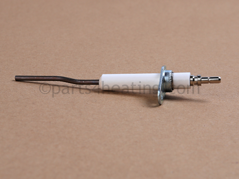 Detection Electrode