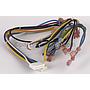 Wire Harness, Main DS