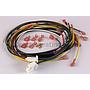Wire Harness, Ignition Control