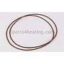 O-Ring Gasket (2)