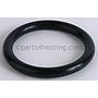 Cleanout O-Ring