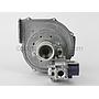 Blower and Gas Valve Assembly (Nat).