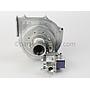 Blower and Gas Valve Assembly, (LP)